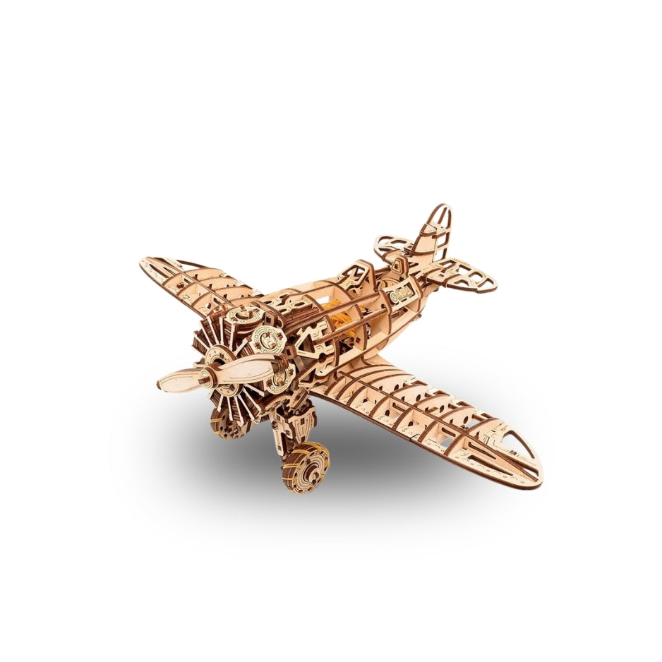 EWA Airplane Mechanical Wooden Model