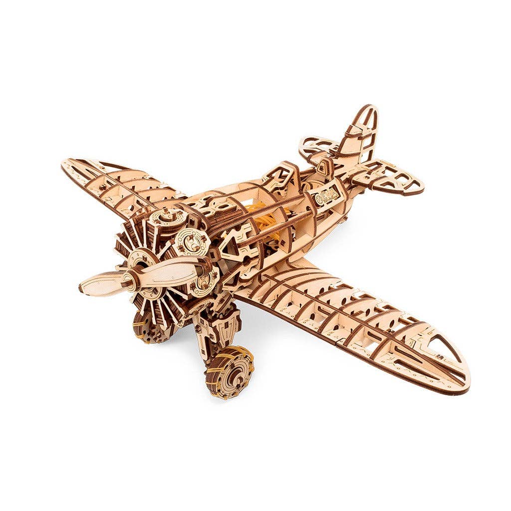 EWA Airplane Mechanical Wooden Model